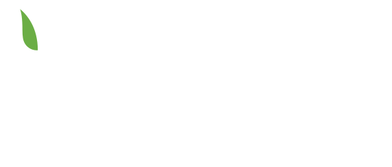 Logo Healthy Temptations